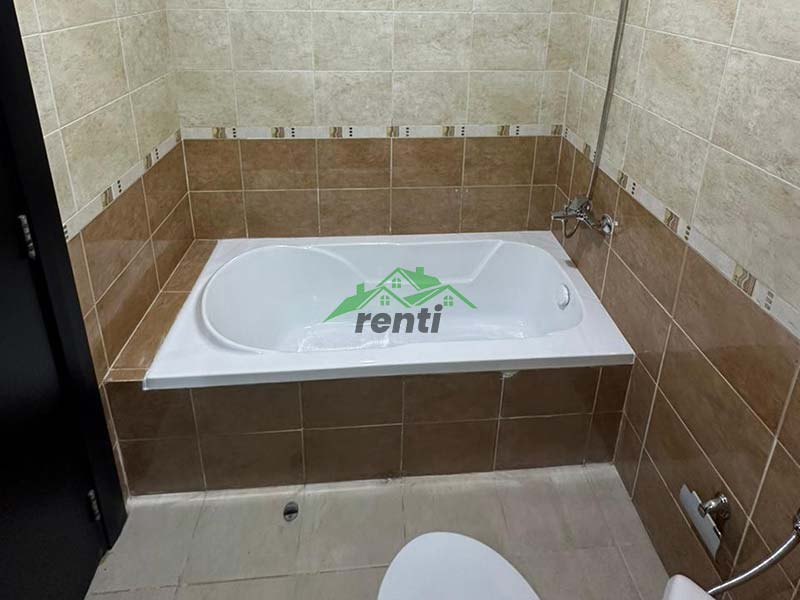 1 BHK apartment for rent
