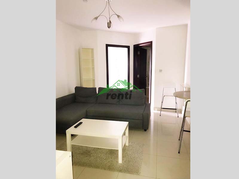 1 BHK for rent near me